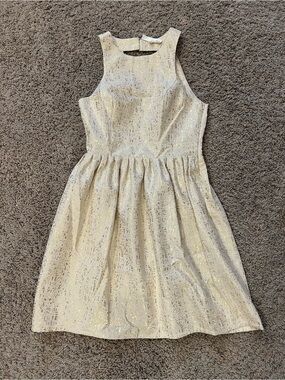 Aniina Ivory Gold Shimmer Party Dress